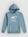 O'Neill Essentials Kids Hoodie