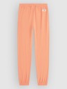 O'Neill Essentials Sweat Kids Pants