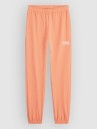 O'Neill Essentials Sweat Kids Pants