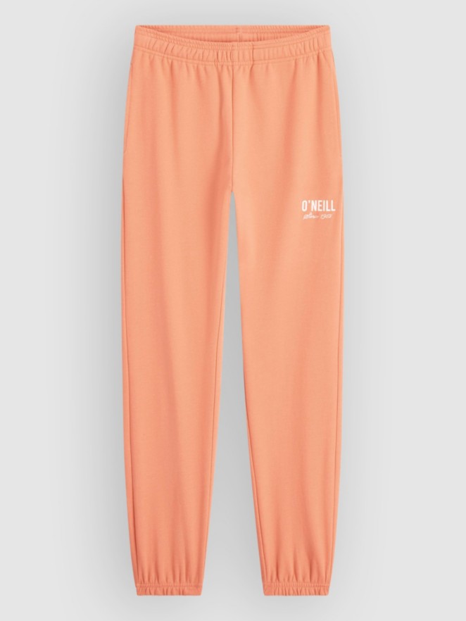 O'Neill Essentials Sweat Kids Pants