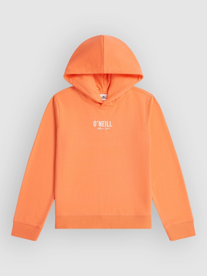 O'Neill Essentials Kids Hoodie