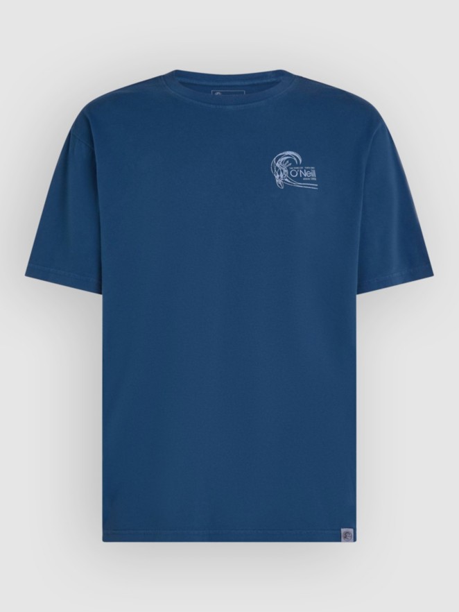 O'Neill O'Riginals Retro Back Print T-Shirt