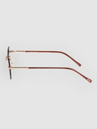 Dot Dash Focal Shiny Gold Lunettes de soleil