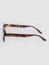 Dot Dash Spectrum Shiny Tortoise Lunettes de soleil