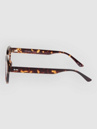 Dot Dash Spectrum Shiny Tortoise Lunettes de soleil