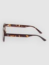 Dot Dash Spectrum Shiny Tortoise Lunettes de soleil