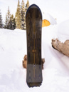 Arbor Rooster Fish 2027 Snowboard