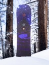 Arbor Astrowaste 2027 Snowboard