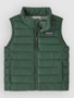 canopy green