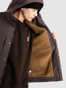 Patagonia Isthmus Parka