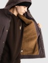 Patagonia Isthmus Parka