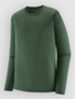 canopy green