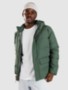 canopy green