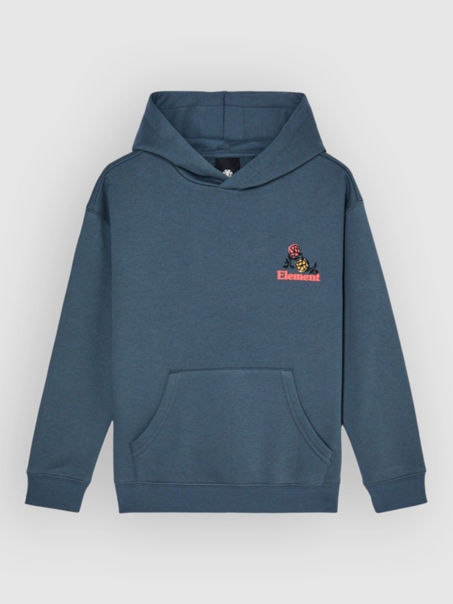 Element Hands Full Kids Hoodie