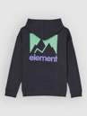 Element Joint Kids Hoodie