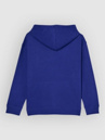 Element Timber Carry Kids Hoodie