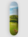Element Roam Free 8.5″ Skateboard Deck