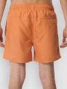 Rip Curl Offset Volley Boardshorts