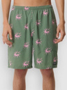 Rip Curl Disorder Volley Boardshorts