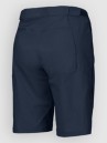 Scott Vertic LT w/pad Shorts