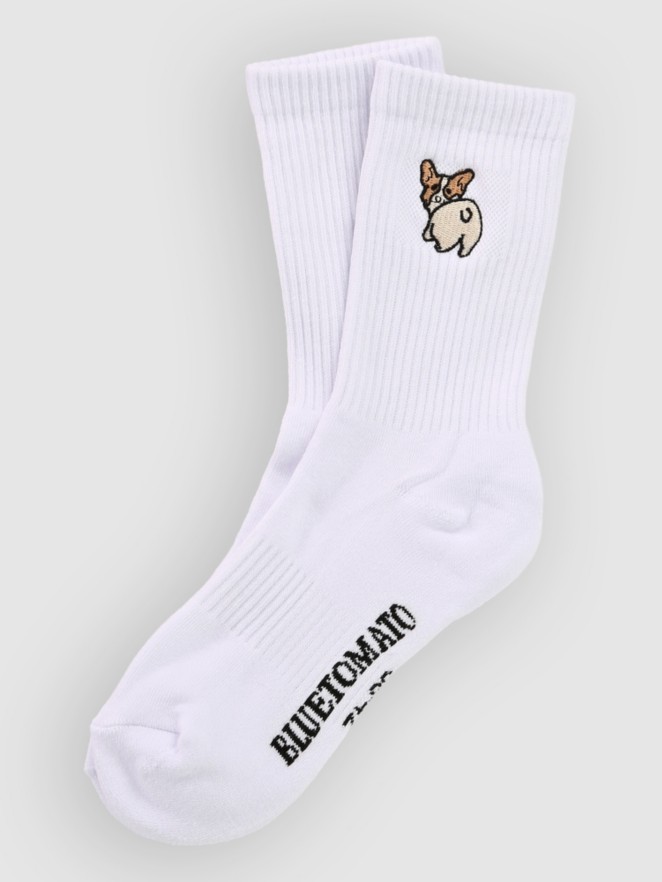 Blue Tomato Icon Sukat