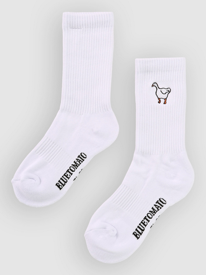 Blue Tomato Icon Sukat