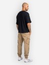 REELL Reflex Cargo BR Pants