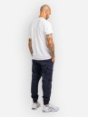 REELL Reflex Cargo BR Pants
