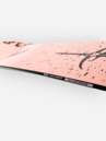 CAPiTA Dark Horse 2027 Snowboard