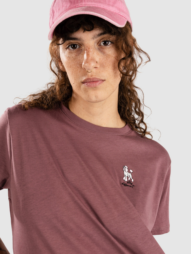 Iriedaily Floodle T-Shirt