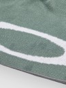 Oakley Ellipse Pp Beanie