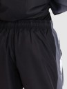Lacoste Taffeta Colorblock Tracksuit Sweatpants