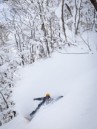 Rome Stale Fish 2027 Snowboard
