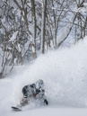 Rome Ravine Pro 2027 Snowboard