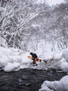 Rome Ravine Pro 2027 Snowboard