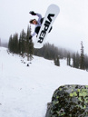 Rome Viper Pro LTD 2027 Snowboard