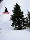 Rome Viper 2027 Snowboard