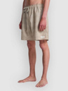 RVCA Judgement Elastic 18 Shorts