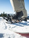 SP Bindings Team 2027 Snowboard Bindings