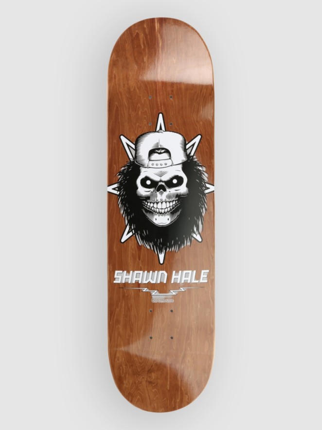 Birdhouse Hale Skull 8.5″ Skateboard Deck