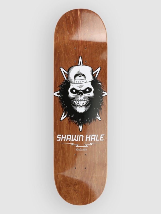 Birdhouse Hale Skull 8.5″ Planche de skate