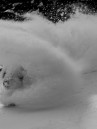 Jones Snowboards Ultralight Project X Snowboard
