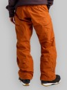 Burton Reserve Ins Pantalon