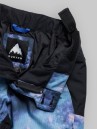 Burton Reserve Ins Pantalon