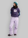 Burton Reserve Ins Pantalon