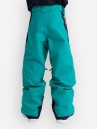 Burton Gore-Tex Shell Kids Bukser