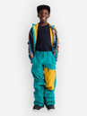 Burton Gore-Tex Shell Kids Bukser