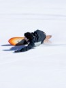 Jones Snowboards Storm Chaser 2027 Snowboard
