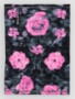 shockwave floral