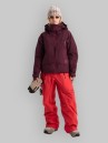 Burton [ak] Gore-Tex Swash Down Takki